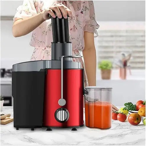 Stainless Steel Portable Fruit Juicer Style Tech Mart